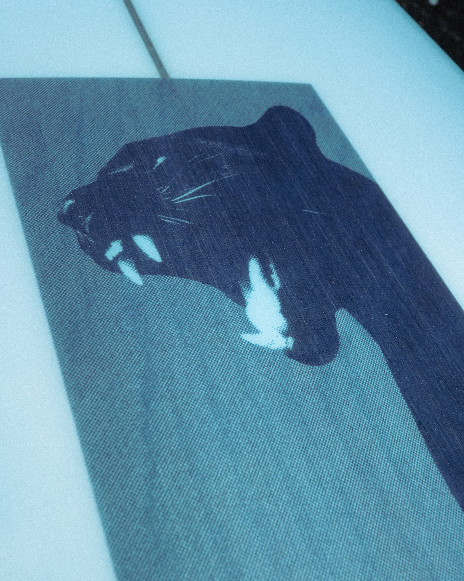 The Mongrel - 5'8 Panther Blue Resin Tint