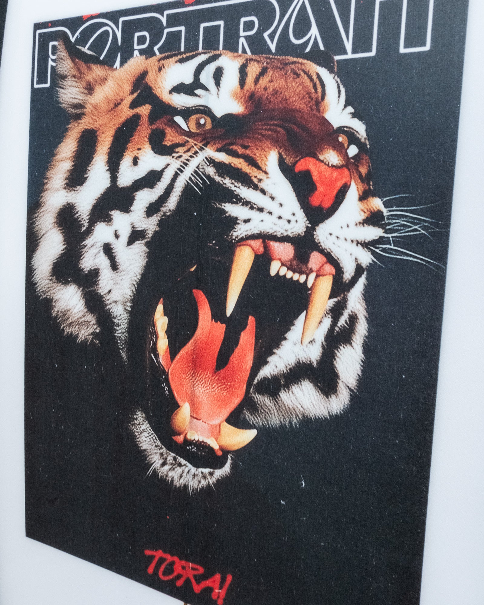 The Pegasus - 5'9 Tiger Style